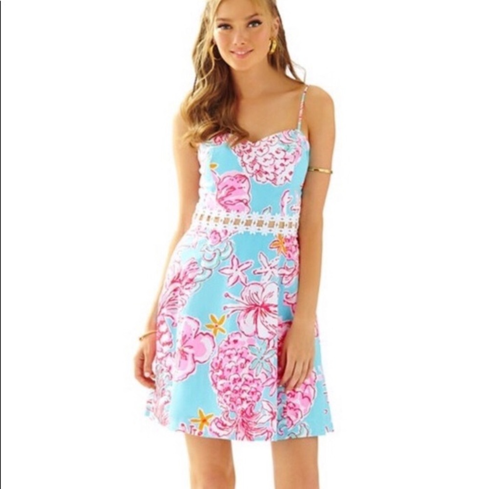 NWOT Never Worn!! Lilly Pulitzer Lenore Dress